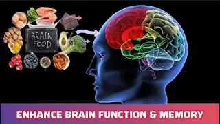 11 BEST FOODS FOR ENHANCING BRAIN FUNCTION AND MEMORY