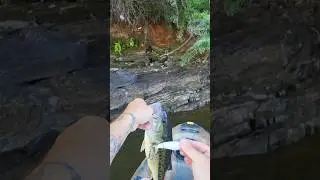 Fishing Shallow Late August Lake Lanier