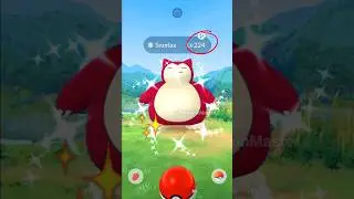 Let’s GO ✨ Got wild Shiny LAZY BEAR in (Pokemon GO)