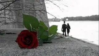 шамар