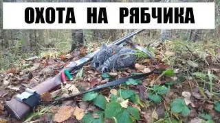 ОХОТА НА РЯБЧИКА С МАНКОМ. На боровую с ружьем ИЖ-27.
