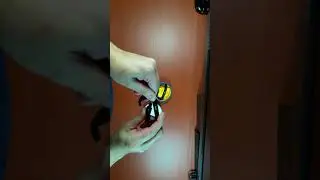 Bolier Carabiners