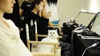 Fancy Feast and STYLE360's NY Fashion Week Behind the Scenes
