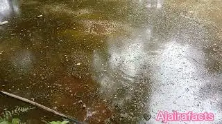 রহস্যময় সেই পুকুর যা বহু যুগ ধরে অজানা রয়ে গেছে. horor shorts,Ajairafacts