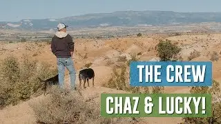 Meet my crew... Chaz & Lucky! #vanlife