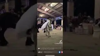 Father and Daughter on Horses Entrance 🤩🤩 #quinceañeras  #shorts #quinceañera #parati #yt #bts