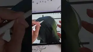MY DIGITAL ART BASICS 