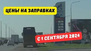 Цены на заправках с 1 сентября 2024