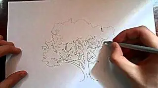 Видео: как нарисовать дерево?
