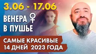 3.06 - 17.06  Венера в Пушье. Женщины приносят сверх удачу в течении 14 дней. Цветочный обряд