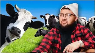 City Boy becomes Dairy Farmer: Can I Keep Up?
