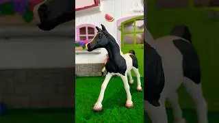 Pick any emoji to find your horse schleich horse short video