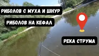 Риболов с муха и шнур на речен кефал