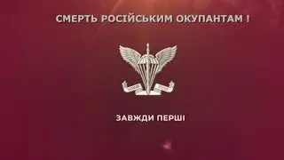 Арт. подразделения 81-й бригады ДШВ ВСУ уничтожают российских солдат вместе с бронетехникой, - ВСУ