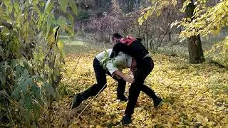Борьба с системой