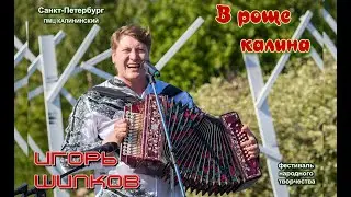 Игорь Шипков на фестивале В роще Калина, СПб - июнь 2023
