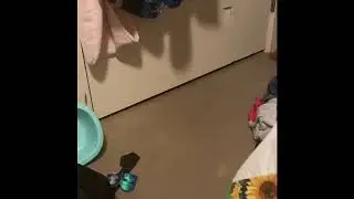 Прощай друг