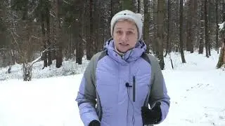 Вводная часть курса по контакту с собакой