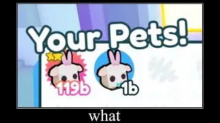 wait... WHAT!?