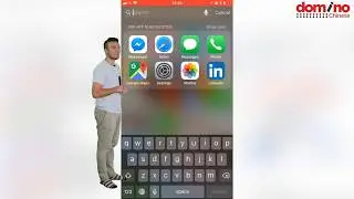 How to use Pleco for DominoChinese : Apps for studying Mandarin : online learning Chinese characters