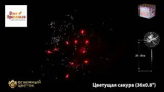 ОС6422 ЦВЕТУЩАЯ САКУРА