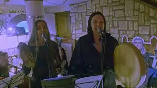 Дарвинион - Шаман