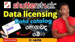 Eligible for Data licensing | Shutterstock Data Catalog | Data License Image Update 2023 - Part 10