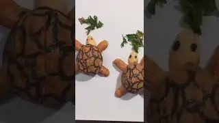 Cute and easy tortoise with dryfruits shells! 🥰🥜🐢🐢