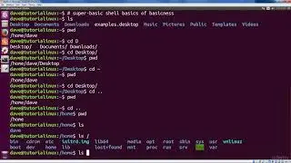 Linux Command Line The Absolute Basics