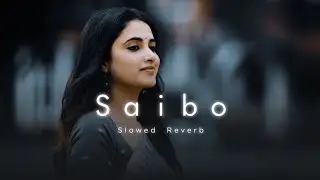 Saibo | Slowed Reverb (Late-night Player)