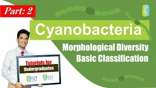 Cyanobacteria: Morphological diversity and Basic Classification (Sinhala Medium)