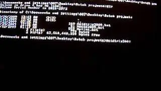 2009 Recreations of old DOS Viruses 2 - the Acidtrip.exe Virus