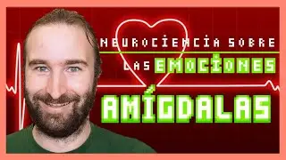 La AMÍGDALA | 🧠 El Atlas del Cerebro