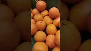 Апельсин.Цена.Магазин Велмарт#апельсин#цена#велмарт