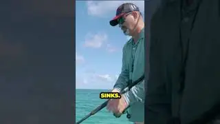 Tip when fishing the flats #fishingaustralia #fishing #fishingtips #greatbarrierreef