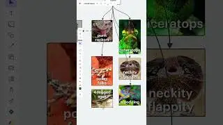 Lucid explains Lizards — SNEAK PEEK