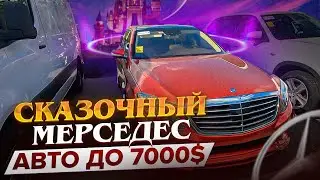 Used cars from auctions in the USA