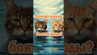 Почему кошки боятся воды? 