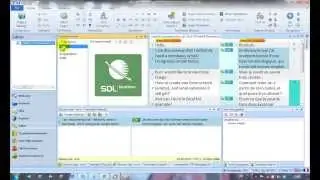 Customising a termbase in SDL MultiTerm with additional fields