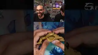 DARIO MOCCIA e la NASCITA di ALICIA la RANA 🐸 