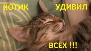 The cat surprised everyone