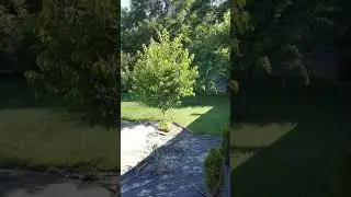 Никольское