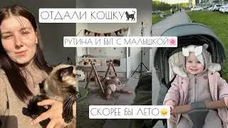 ОТДАЛИ КОШКУ🐈‍⬛ // РУТИНА И БЫТ С МАЛЫШКОЙ🌸 // СКОРЕЕ БЫ ЛЕТО☀️💫