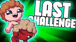 THE LAST CHALLENGE