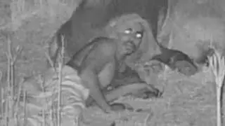 Night Crawler - The person in this video is real. He has his shirt over his head.