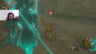 The Legend of Zelda: Tears of the Kingdom Pt 11
