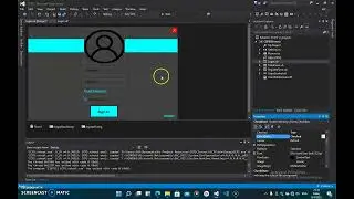 How to hide and show password in visual basic.net