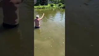 Огромный толстолобик рвет сети