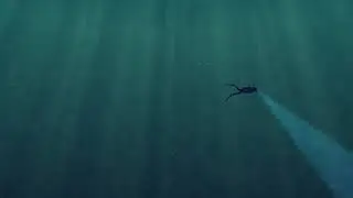 underwater