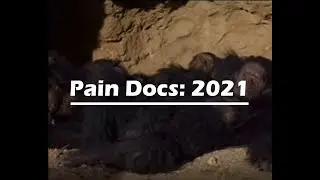 The State of Dorsal Root Ganglion Stimulation:2021
